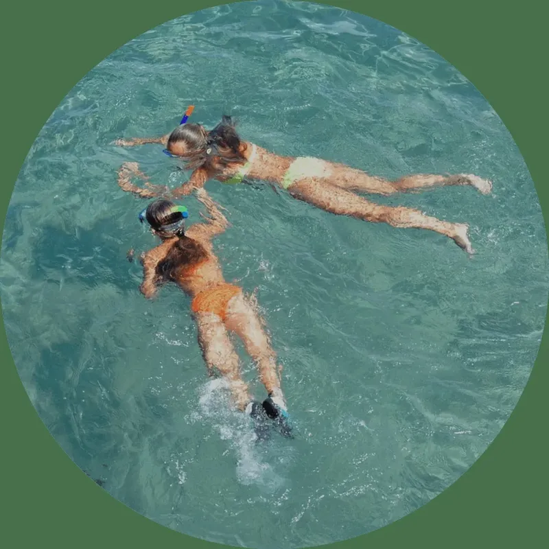 Deux personnes en maillot de bain nagent et explorent les fonds marins