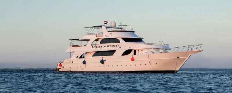 Grand bateau de croisière blanc sur une mer calme et bleue