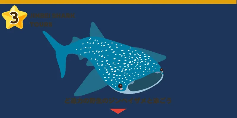Illustration d'un requin baleine bleu tacheté sur fond bleu marine