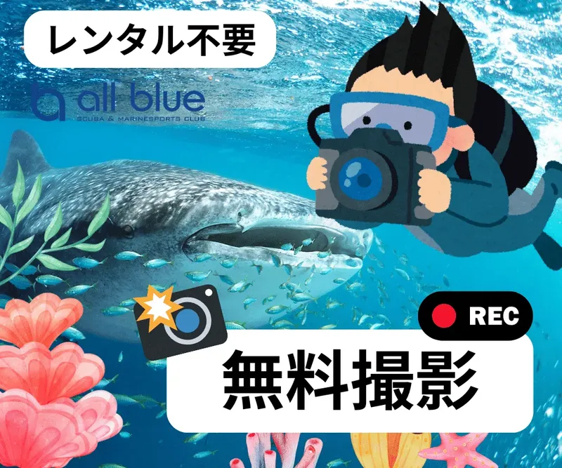 Plongeur et requin baleine nagent dans une eau claire et bleue
