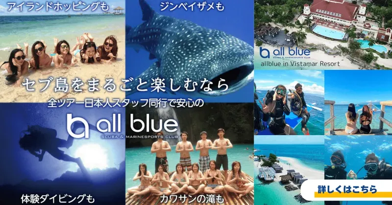 Montage photos : plongeurs, requin baleine, bateau et personnes souriantes