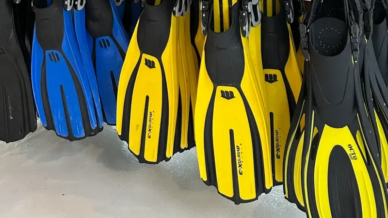 Palmes de plongée noires, bleues et jaunes alignées en magasin