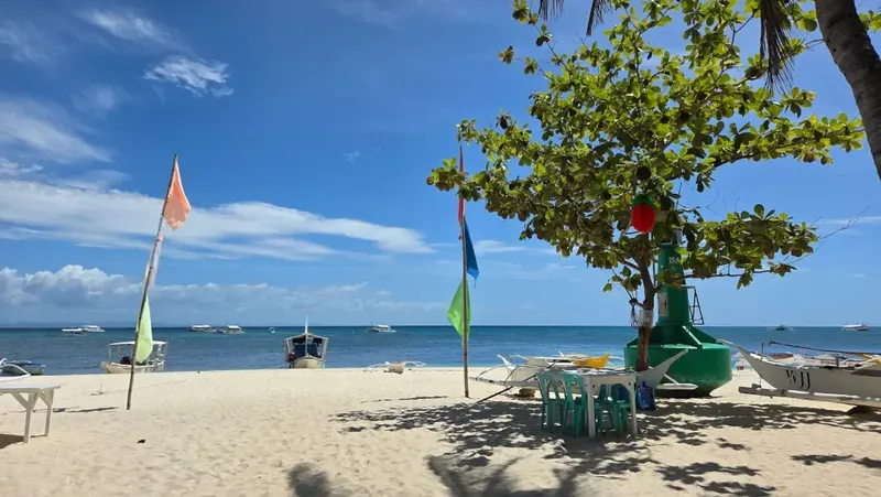 Plage tropicale avec bateaux de pêche et végétation luxuriante au premier plan