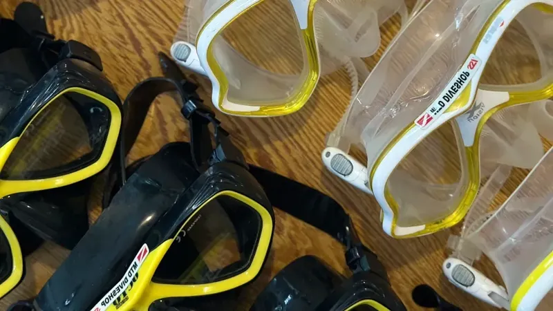 Masques de plongée noirs et blancs alignés, équipement prêt à l'utilisation