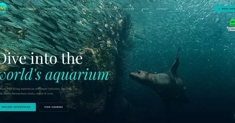 Un lion de mer nage au milieu d'un banc de poissons argentés