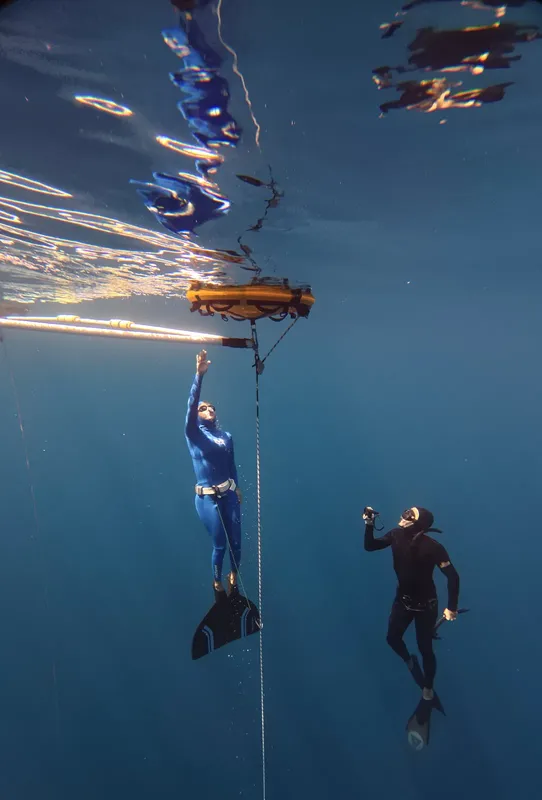 Deux apnéistes évoluent dans l'eau bleue, un avec une bouée