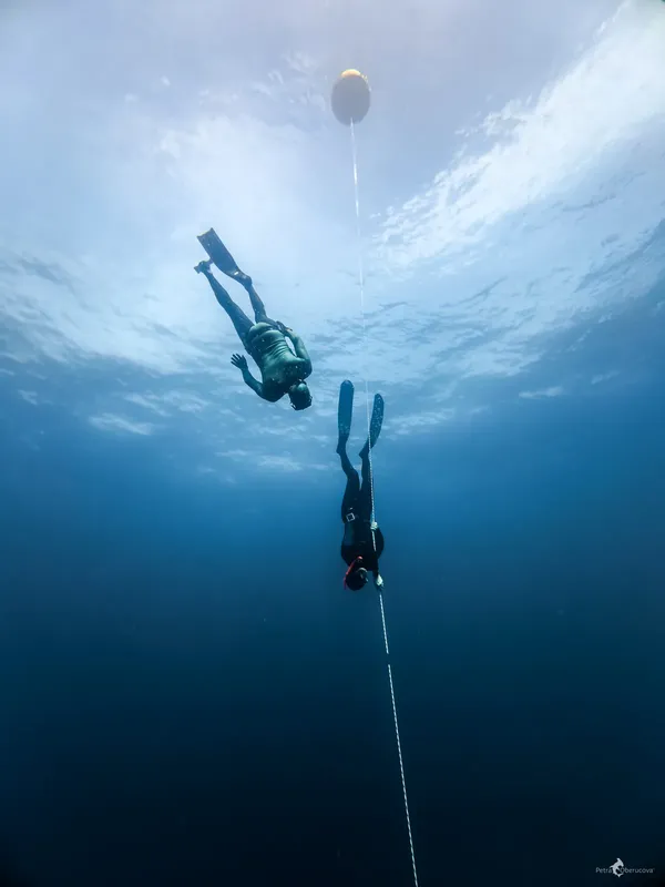 Deux plongeurs en apnée descendent le long d'un cordage bleu