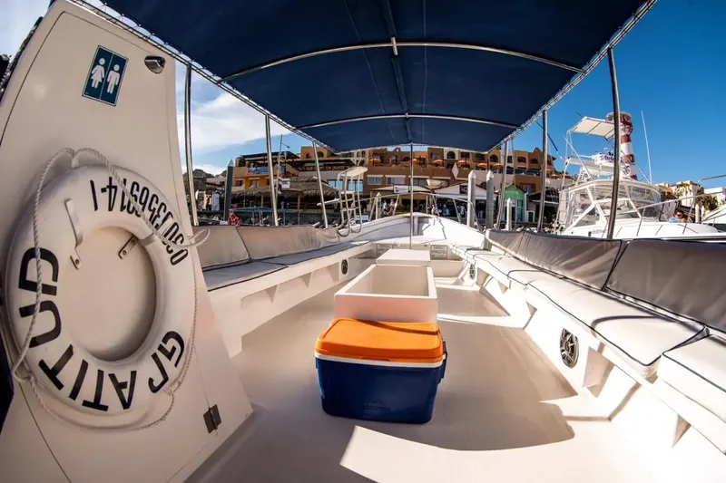 Intérieur d'un bateau de plongée avec un ciel bleu et des bâtiments