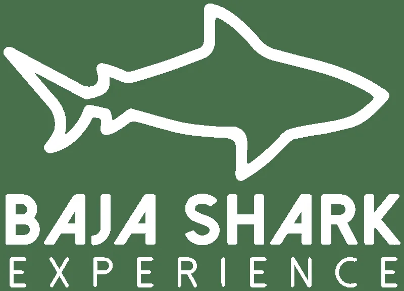 Illustration d'un requin blanc sur fond vert avec du texte