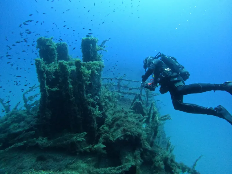Plongeur explorant une épave colonisée par la vie marine