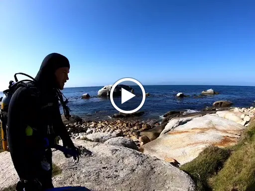Plongeur en combinaison se préparant sur des rochers au bord de la mer