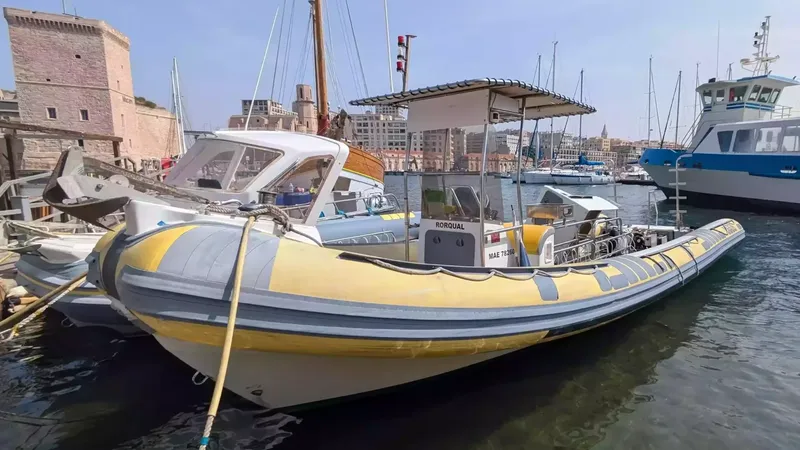 Bateau de plongée jaune et bleu amarré dans un port ensoleillé