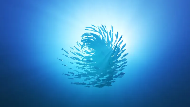 Banc de poissons formant un tourbillon dans l'eau bleue