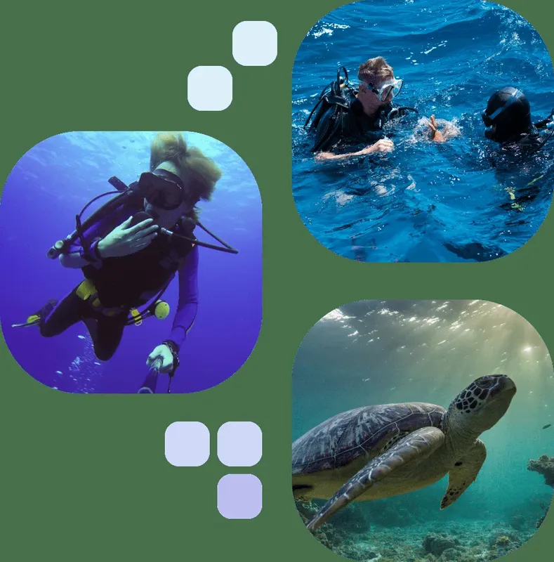 Plongeurs et tortue de mer nagent dans une eau bleue claire