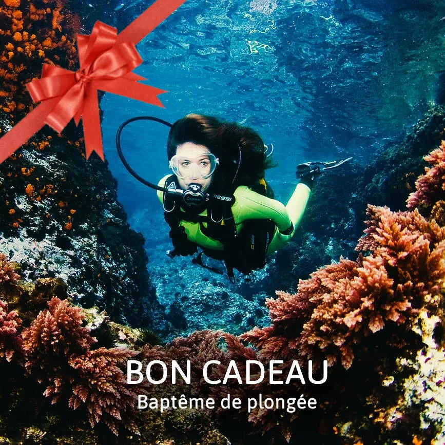 Plongeuse avec un cadeau, coraux et eau bleue, baptême de plongée