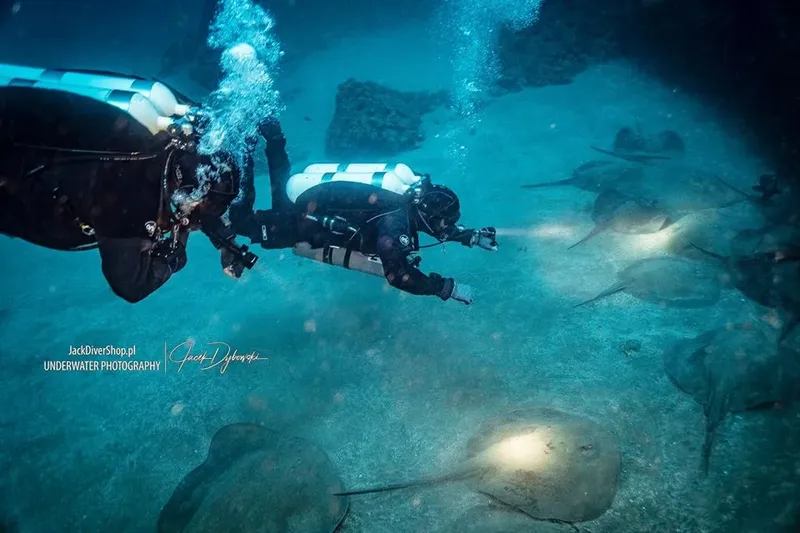 Deux plongeurs interagissent avec un groupe de raies manta sous-marines