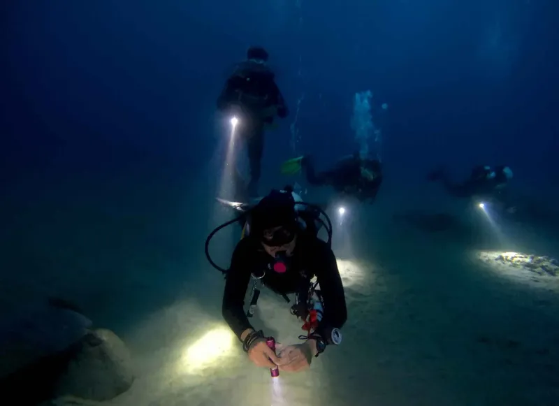 Plongeurs évoluant dans une eau bleue, éclairés par leurs lampes sous-marines
