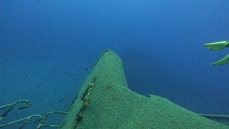 Epave sous-marine colonisée par la vie marine et les algues