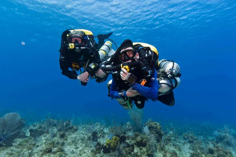 Trois plongeurs en combinaison explorent un récif corallien sous-marin