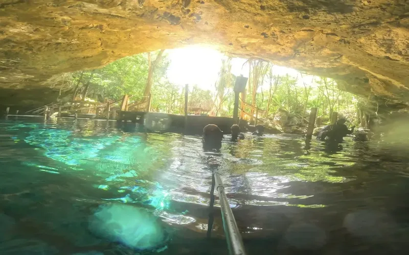 Plongée en cenote : nageurs explorent une grotte sous-marine éclairée