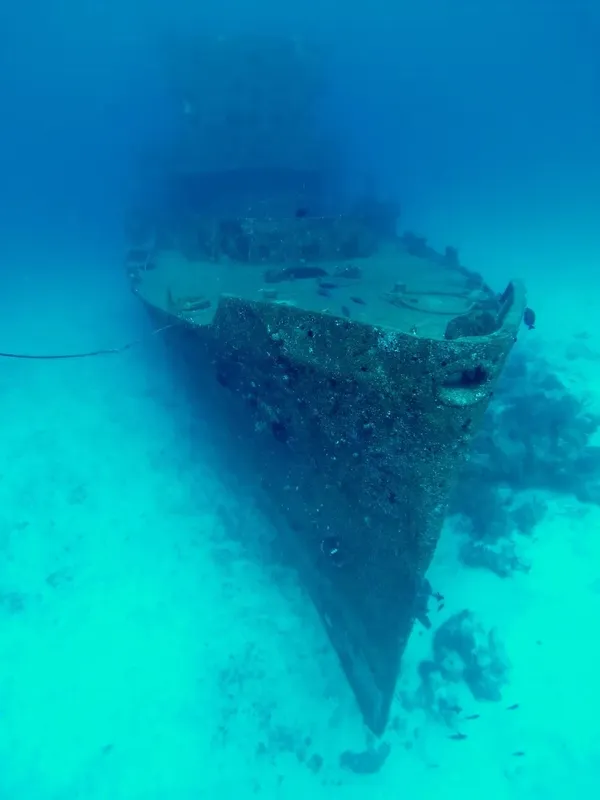 Epave de bateau coulee, colonisee par la vie marine, fond sableux