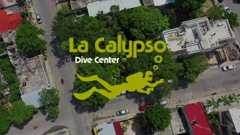 Vue aérienne d'un centre de plongée avec son logo et son environnement