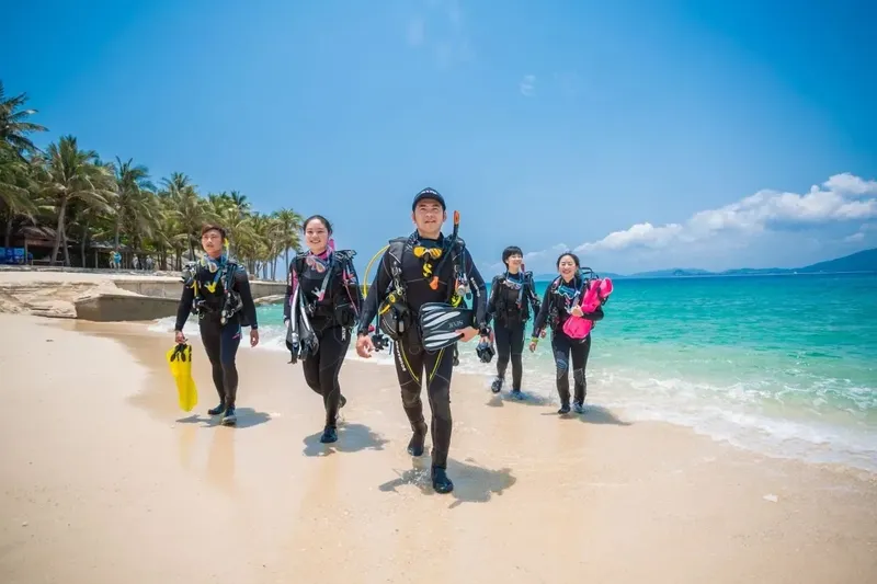 Groupe de plongeurs marchant sur une plage ensoleillée avec leur équipement