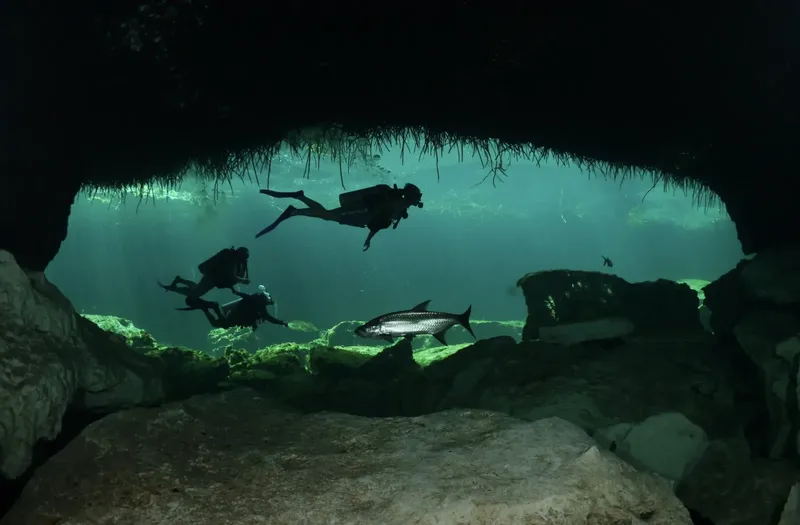 Plongeurs explorent une grotte sous-marine avec un poisson barracuda