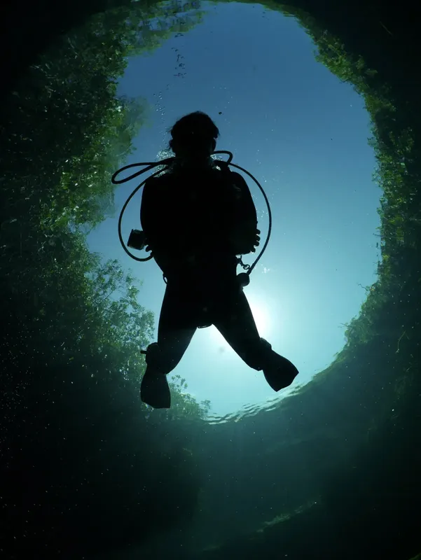 Plongeur silhouetté nageant vers la surface dans une eau claire
