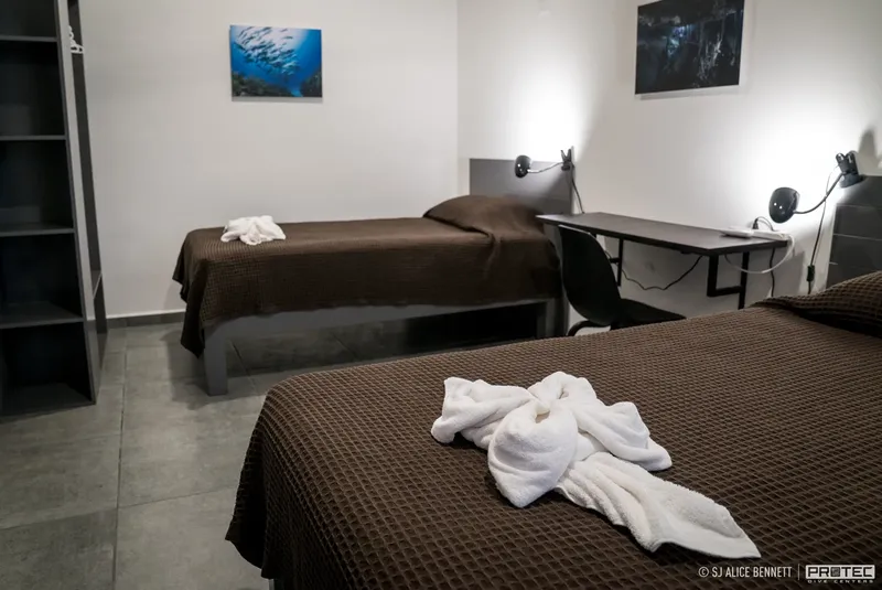 Chambre avec lits simples, bureaux et photos sous-marines décoratives