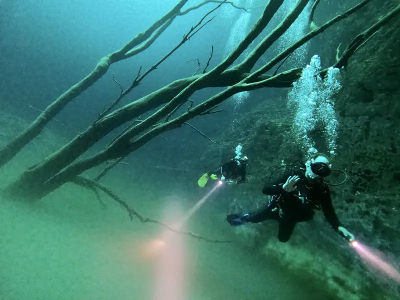 Deux plongeurs explorent une épave avec des branches submergées