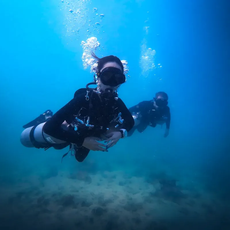 Deux plongeurs explorent les fonds marins dans une eau bleue claire