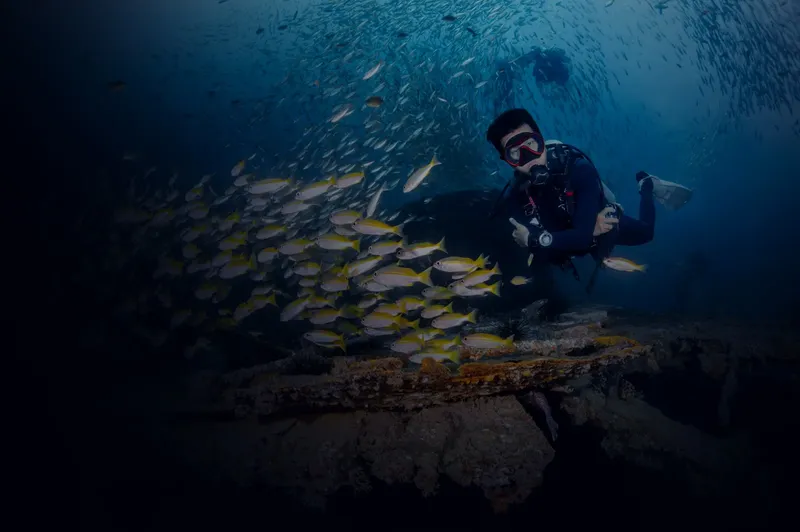 Plongeur evoluant au milieu d'un banc de poissons dans l'eau bleue