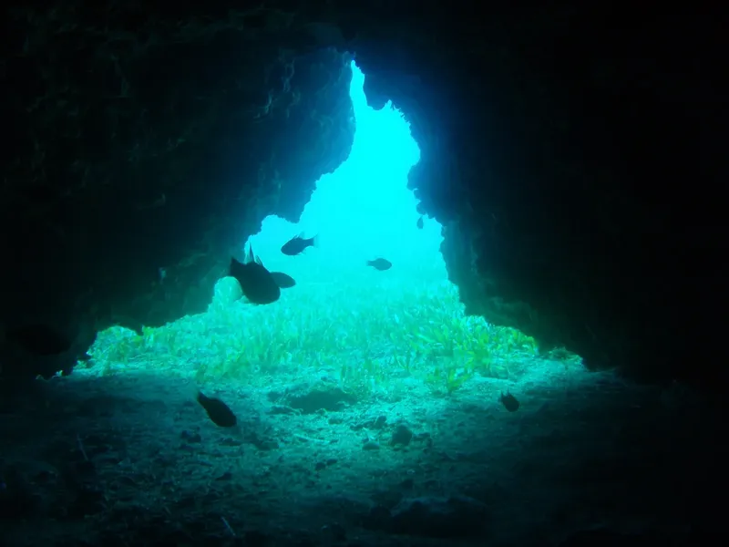 Ouverture sous-marine dans une roche, poissons et végétation marine