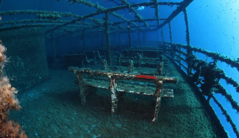 Épave de bateau colonisée par la vie marine, structure métallique rouillée