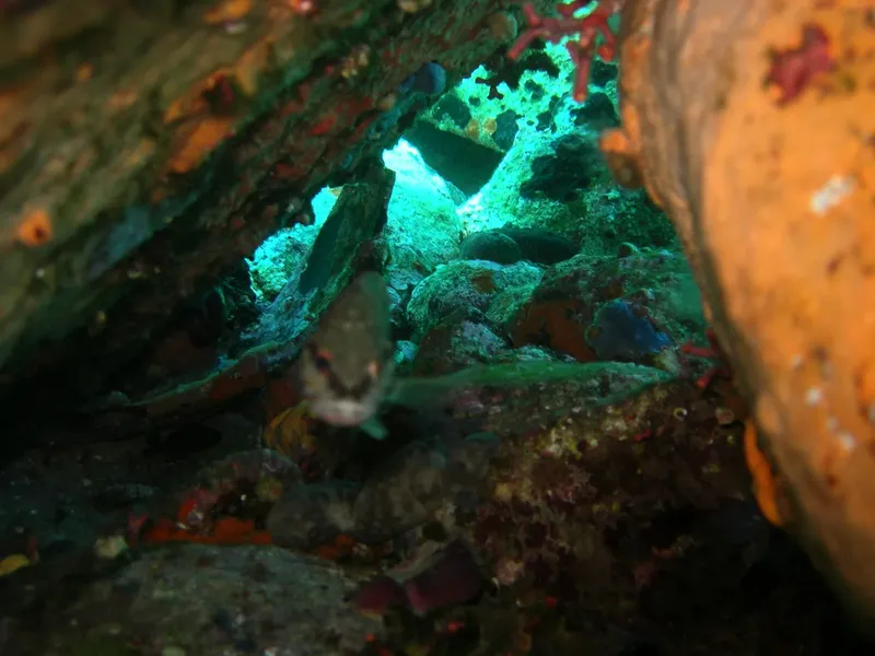 Vue sous-marine d'une grotte rocheuse avec des poissons et coraux