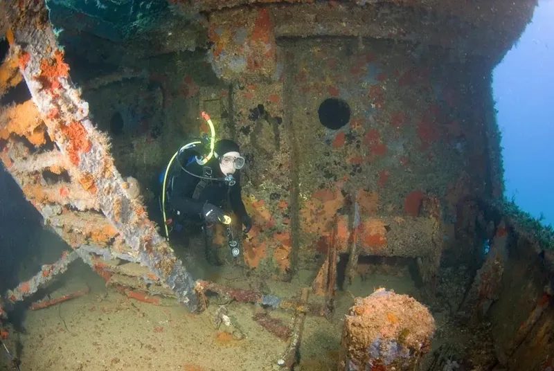 Plongeur explore l'intérieur d'une épave métallique colonisée