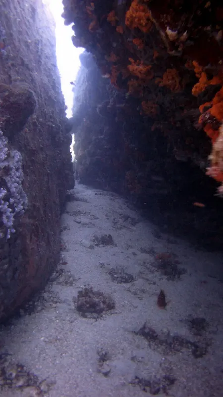 Passage étroit entre deux parois rocheuses sous-marines, fond sablonneux