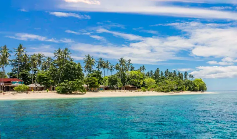 Plage tropicale avec végétation luxuriante et bâtiments au bord de l'eau