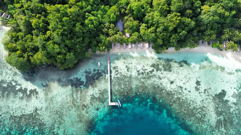 Vue aérienne d'une plage tropicale avec un ponton en bois