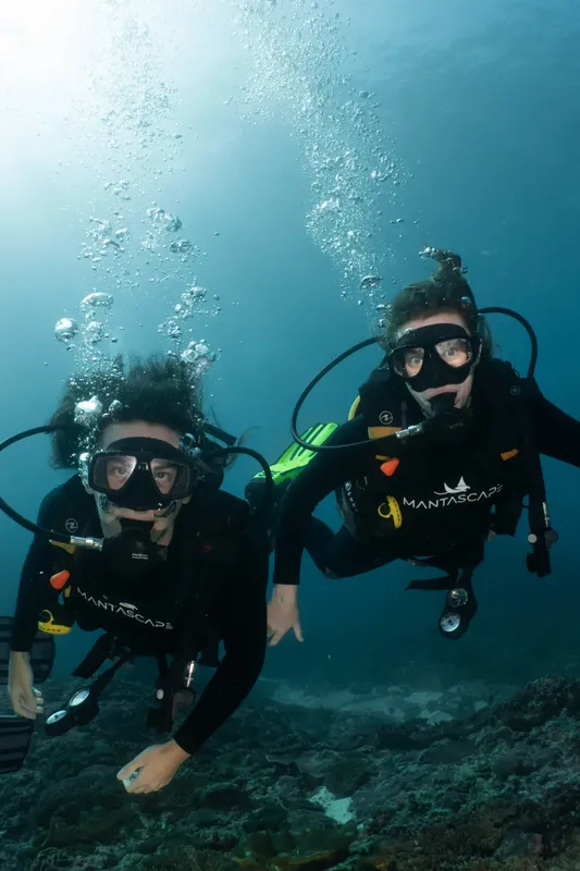 Deux plongeurs en combinaison explorent les fonds marins bleus