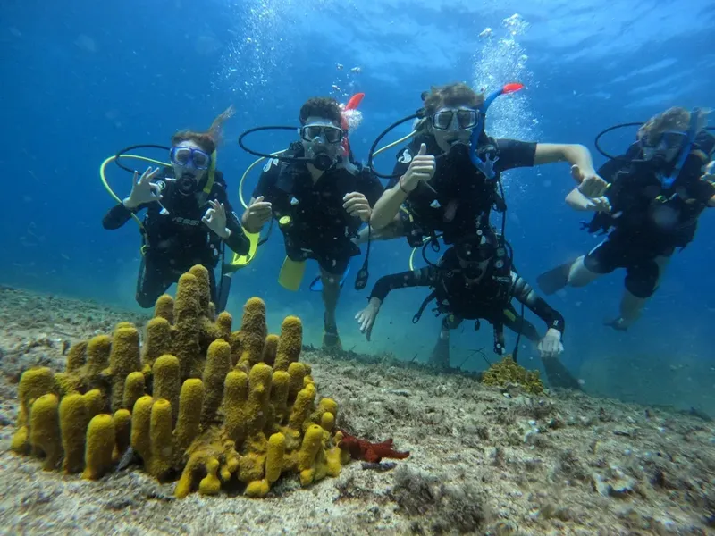 Quatre plongeurs souriants font des signes de validation sous l'eau