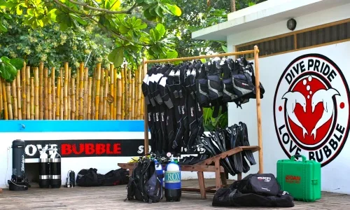 Equipement de plongée suspendu devant un mur avec un logo de dauphins