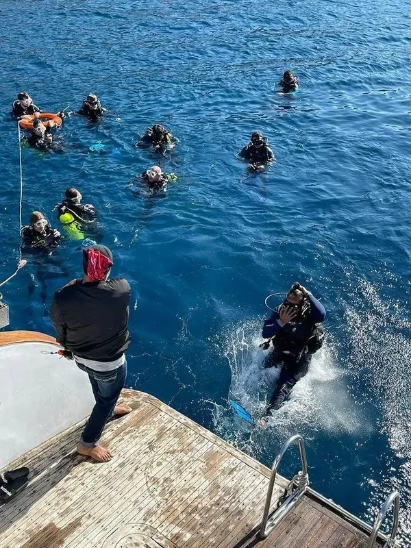 Plongeurs s'apprêtent à entrer dans l'eau depuis un bateau en mer