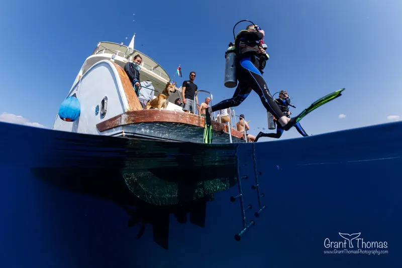 Plongeur s'apprête à entrer dans l'eau depuis un bateau de plongée