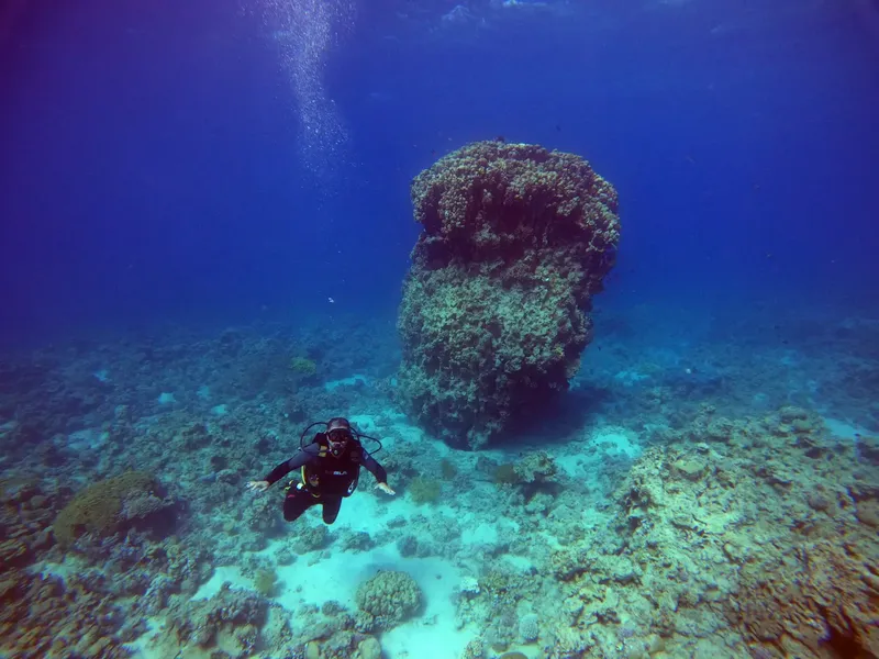 Plongeur explorant un récif corallien bleu et lumineux
