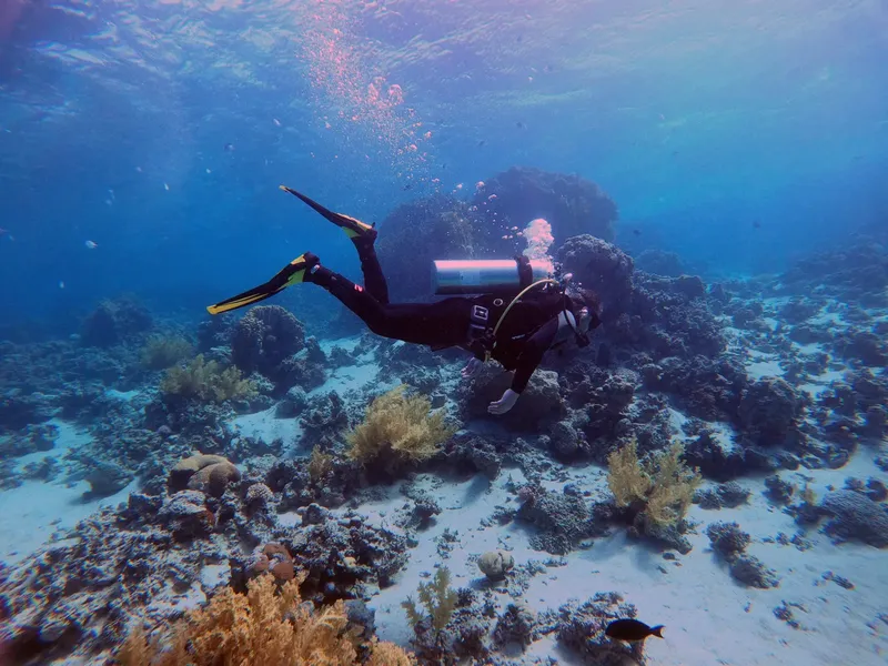 Plongeur en combinaison explore un récifal corallien sous l'eau