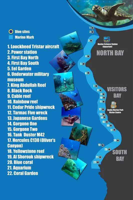 Carte marine avec photos de sites de plongée et faune sous-marine