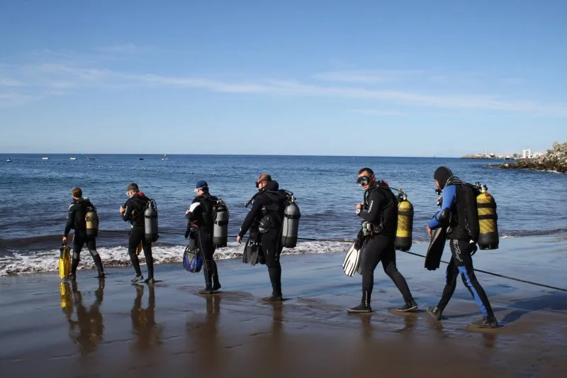 Groupe de plongeurs marchant sur la plage avec leur équipement