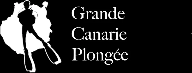 Silhouette de plongeur sur fond de carte de l'île et texte
